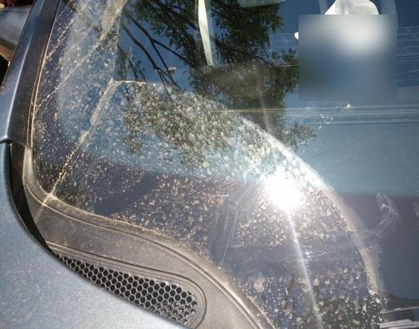 用玻璃水洗車會(huì)傷車漆嗎？玻璃水的真實(shí)用途與潛在影響